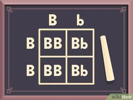 Image titled Use a Punnett Square to Do a Monohybrid Cross Step 5