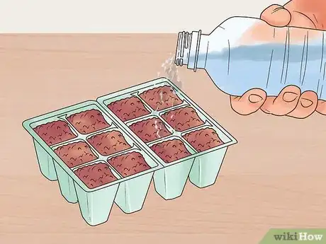 Image titled Grow Perennials From Seed Step 6