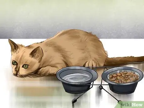 Image titled Tell if a Cat Has a Sore Throat Step 2