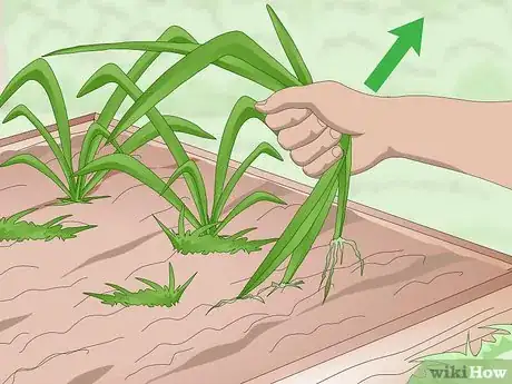 Image titled Keep Soil Moist Step 6