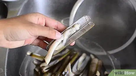 Image titled Freeze Razor Clams Step 5