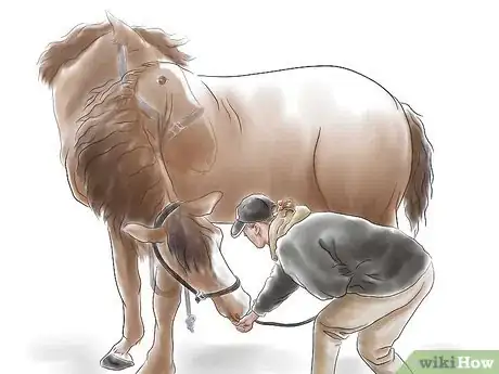 Image titled Stretch a Horse Step 6