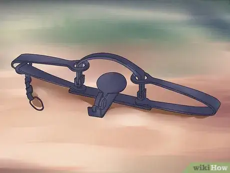 Image titled Catch Beavers Step 9