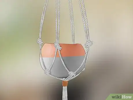 Image titled Decorate with Air Plants Step 7