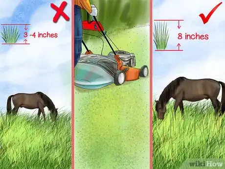 Image titled Prevent Parasites in Horses Step 7