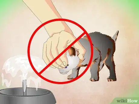 Image titled Make a Kitten Like Water Step 14