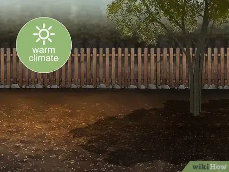 Image titled Grow Oca Step 5