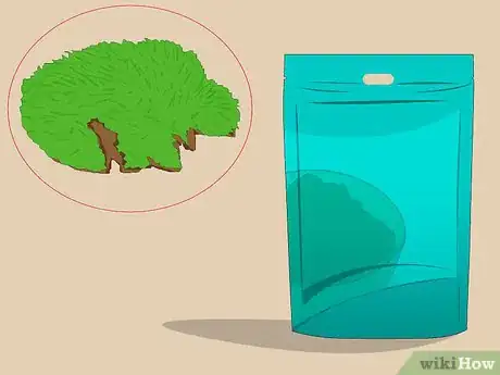 Image titled Use Superfood Powders Step 6