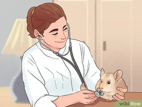Image titled Find a Vet for Your Chinchilla Step 8