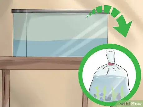 Image titled Transport Fish Step 20