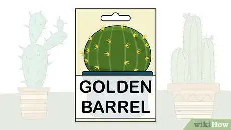 Image titled Grow Golden Barrel Cactus Step 1