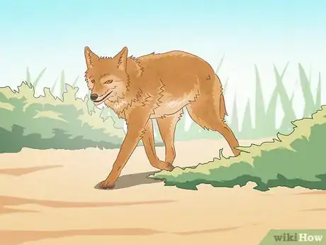 Image titled Make a Coyote Trap Step 14