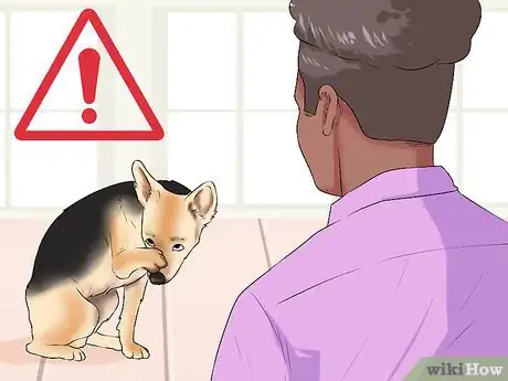 Image titled Control Shedding (Dogs) Step 15