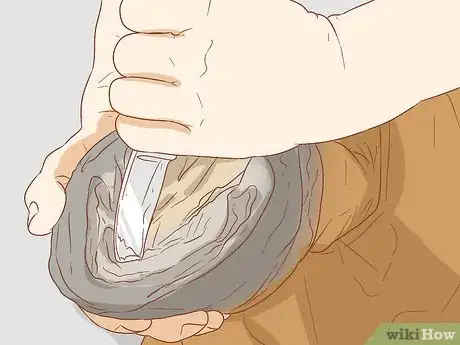 Image titled Prevent Laminitis in Horses Step 8