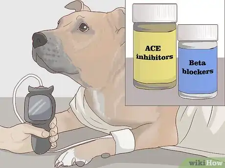 Image titled Treat Cardiac Disease in Older Dogs Step 4