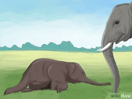 Image titled Identify Empathy in Animals Step 2