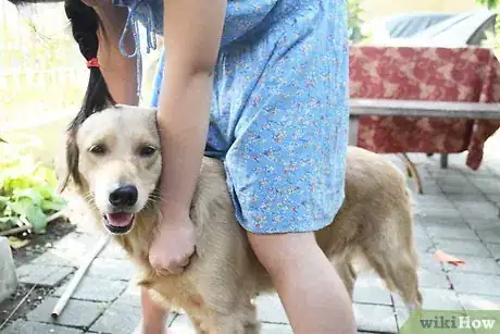 Image titled Lead Train a Dog or Puppy Step 5