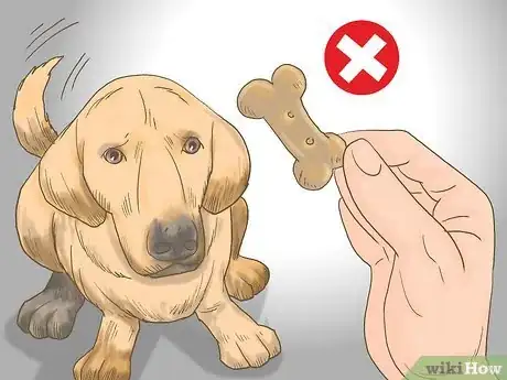 Image titled Get a Dog to Eat Step 17