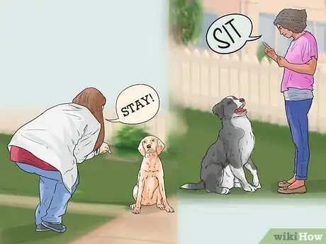 Image titled Get Used to a New Dog Step 10