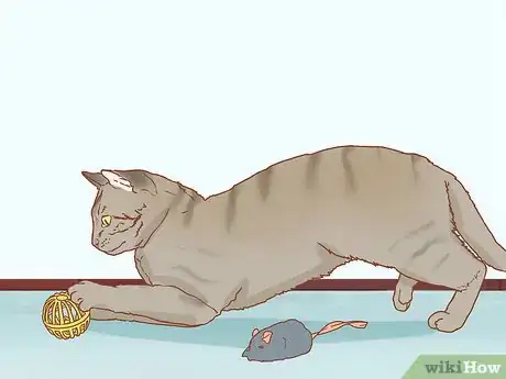 Image titled Protect Cats During Winter Step 11