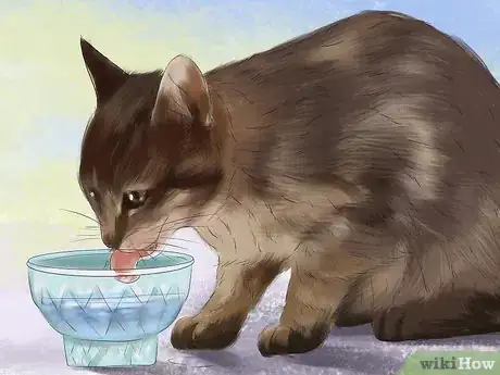 Image titled Spot Feline Diabetes Step 1