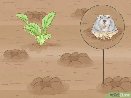 Image titled Start a Garden Step 13