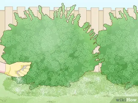 Image titled Apply Slow Release Fertilizer Step 14