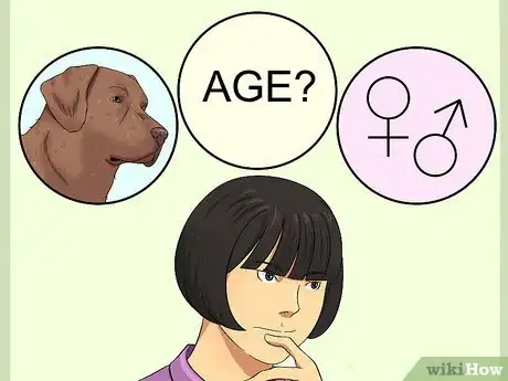 Image titled Select a Labrador Retriever Step 7