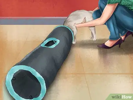 Image titled Use Cat Tunnels Step 9