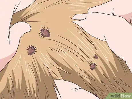 Image titled Check for Ticks Step 6