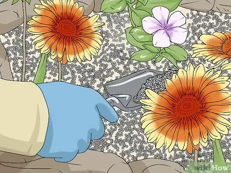 Image titled Plant a Rock Garden Step 23