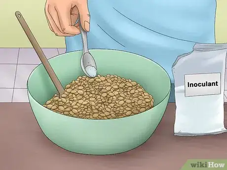 Image titled Grow Pole Beans Step 5