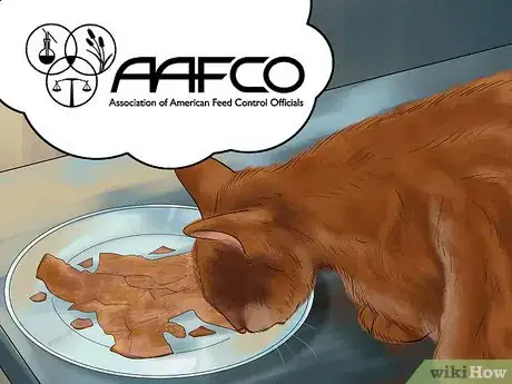 Image titled Take Care of a Somali Cat Step 4