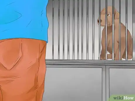 Image titled Choose a Puppy Step 12