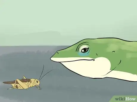 Image titled Feed an Anole Green Lizard Step 2
