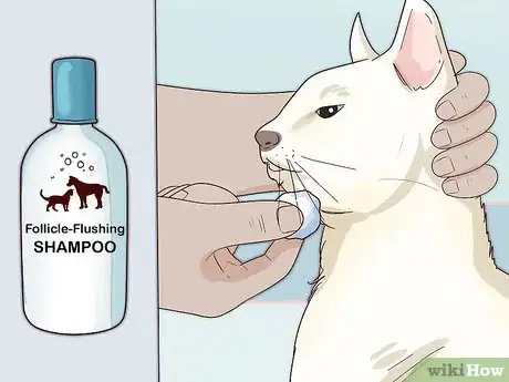 Image titled Treat Feline Acne Step 11