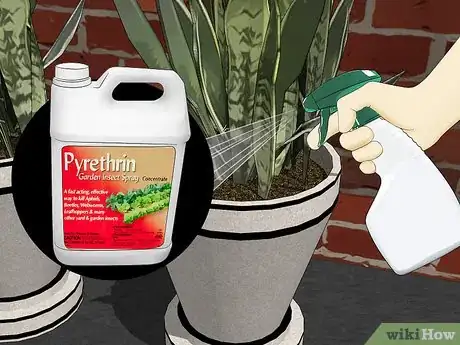 Image titled Remove Ants from Potted Plants Step 1