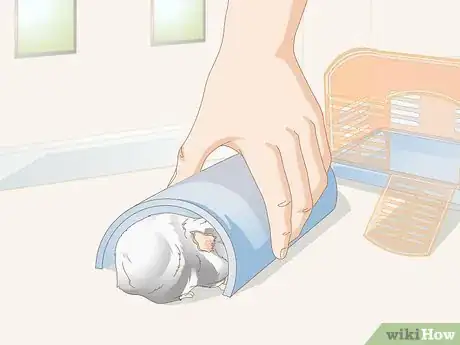Image titled Choose Toys for a Guinea Pig Step 2