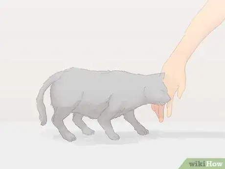 Image titled Handle a Stray Cat Step 25