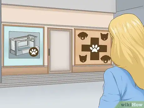 Image titled Exercise a Senior Dog on a Water Treadmill Step 2