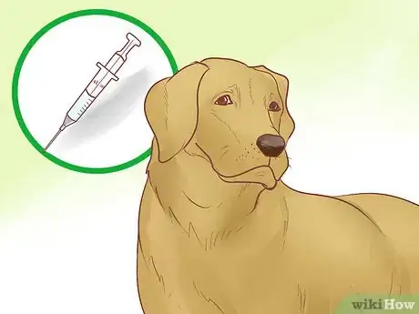 Image titled Create a Responsible Dog Breeding Program Step 12