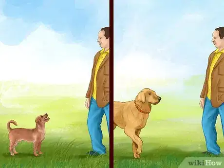 Image titled Feel Comfortable Around Big Dogs Step 11
