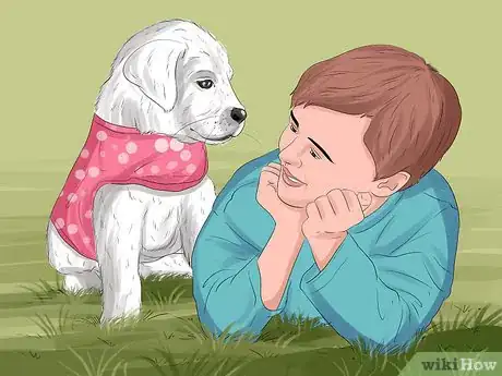 Image titled Decide Who Gets the Pet in a Divorce Step 5