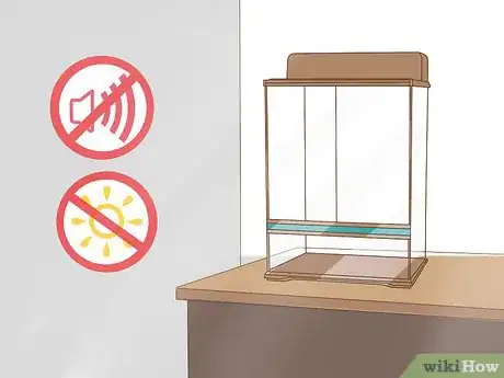 Image titled Buy a Chameleon Step 8