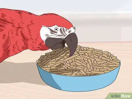 Image titled Treat Macaw Wasting Disease Step 11