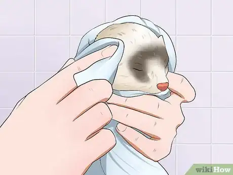 Image titled Keep Your Ferret's Hair Healthy Step 9