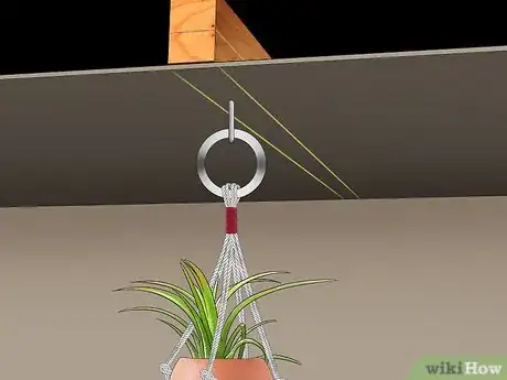 Image titled Decorate with Air Plants Step 9