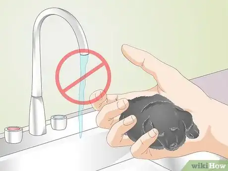 Image titled Keep Orphaned Newborn Puppies Clean Step 4