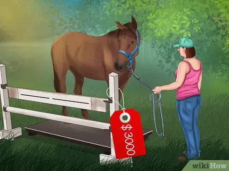 Image titled Maintain Healthy Weight for a Horse Step 1