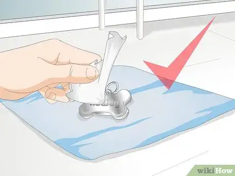 Image titled Clean Your Dog's ID Tag Step 11